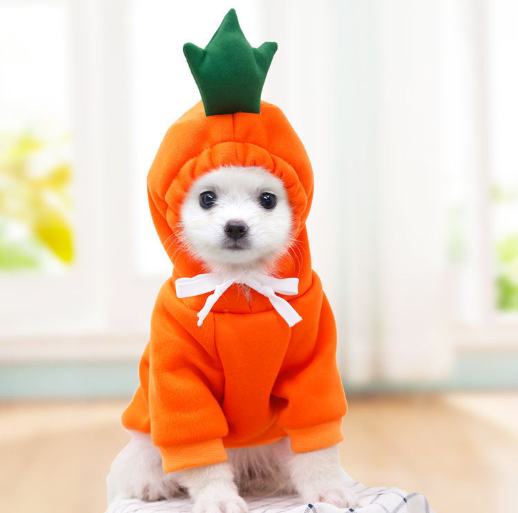 Cute Fruit Dog Hoodie