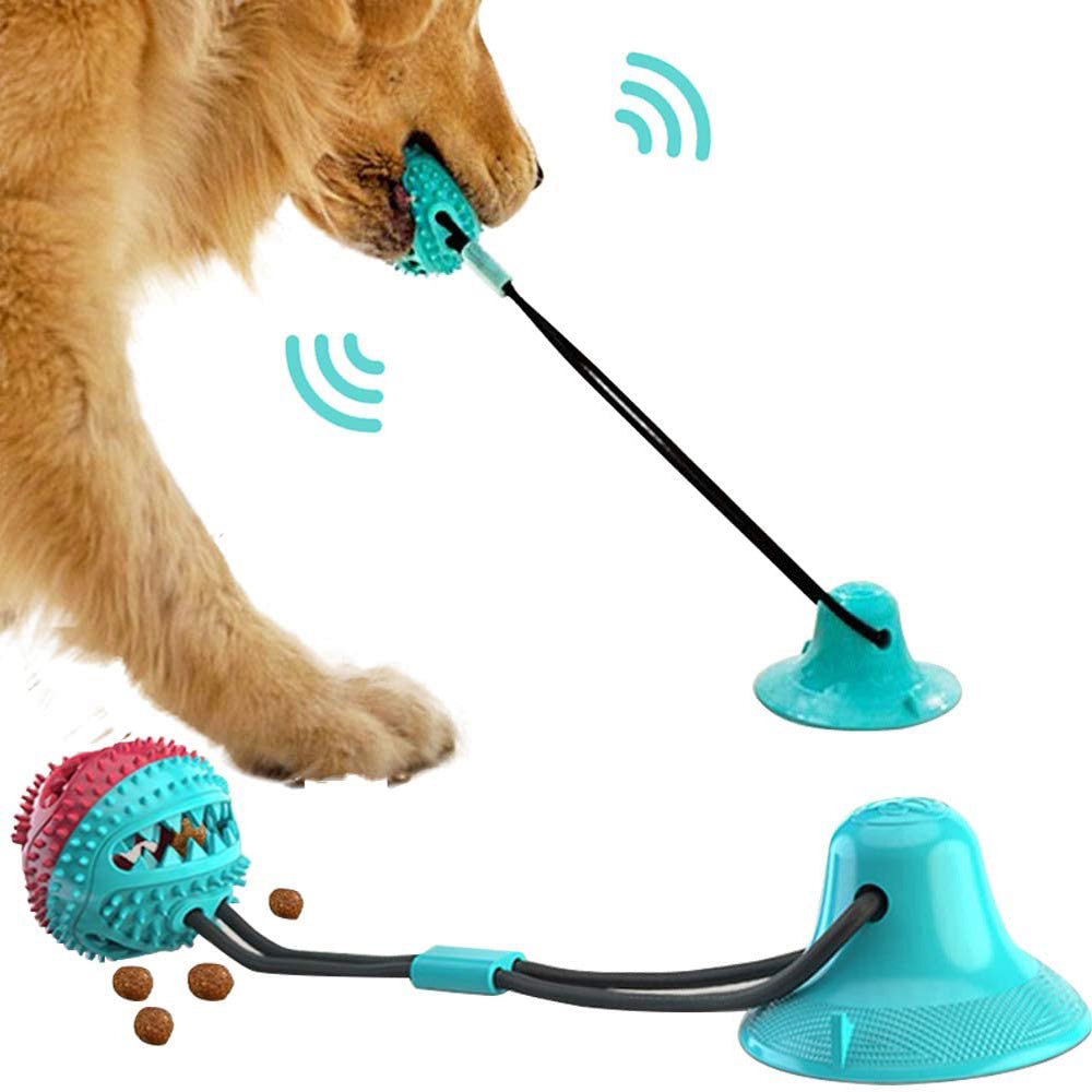 Dog Suction Cup Tug Toy